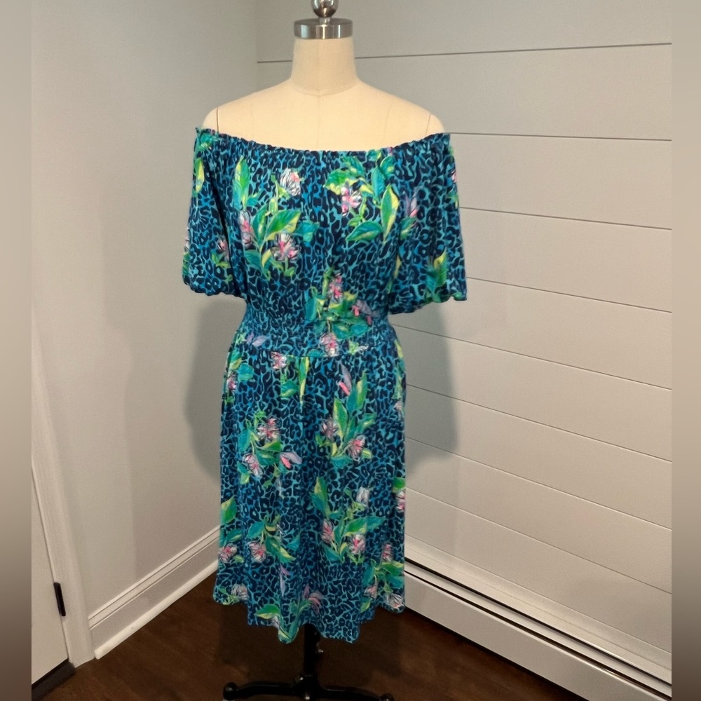 Lily Pulitzer dress, wore it once , excellent condition size XL